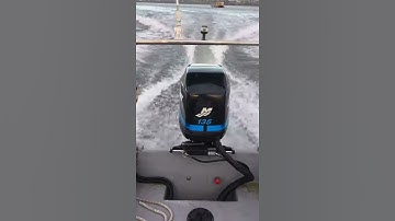 Mercury Optimax Problem Cut Out Stops Dead