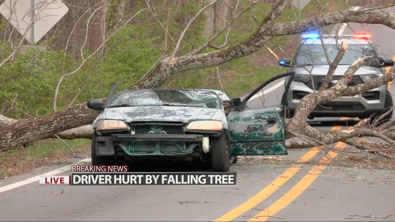 Tree falls on car, driver rescued near Manslick Road in Louisville ...