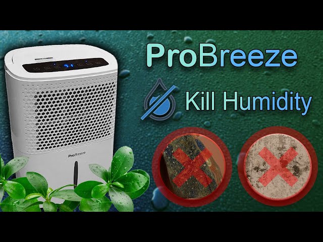 Test et Avis : Déshumidificateur portable Pro Breeze 12 L 