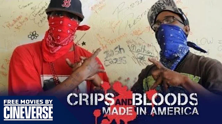 Crips And Bloods: Made In America | Full Crime Documentary | Free Movies By Cineverse - DayDayNews