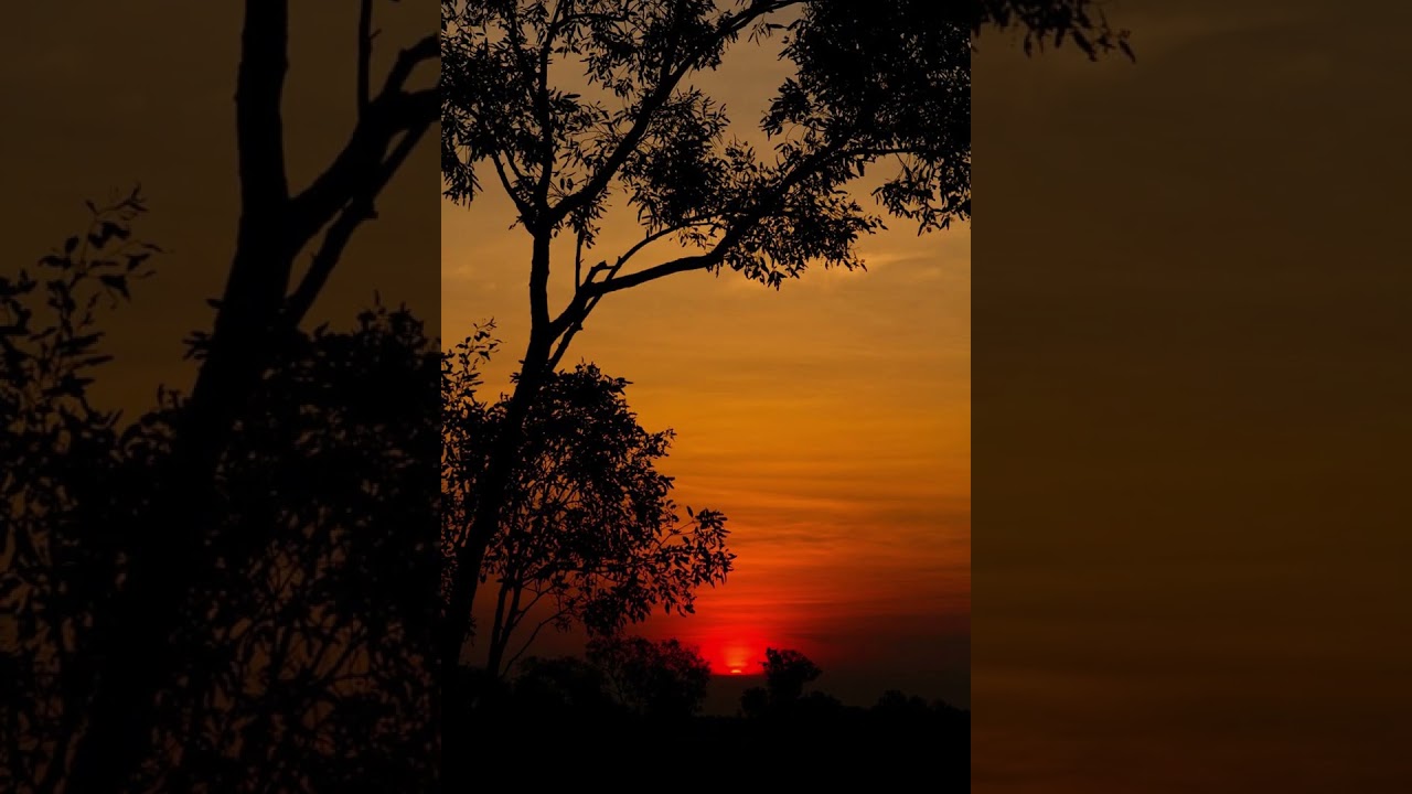 #شرح كتاب الروض المربع #65