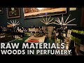 Raw Materials - Woods in Perfumery