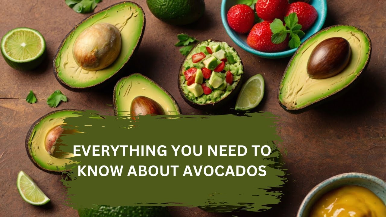 The Ultimate Guide Everything you need to know about Avocados YouTube(03)