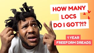 Counting My Freeform Locs | 1 Year + 2 month Dreads Update