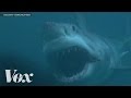 Shark Myths and Facts