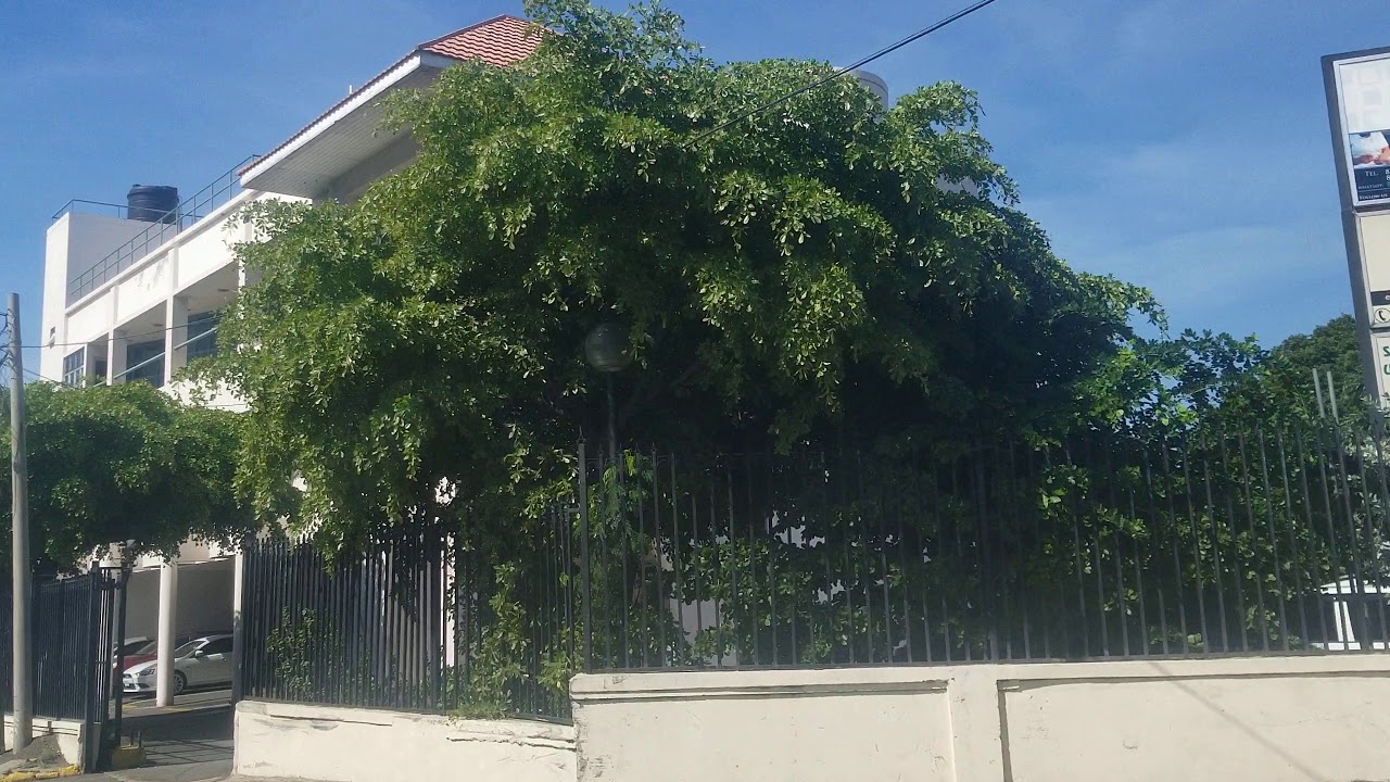 Half Way Tree Road Balmoral Avenue Jamaica YouTube