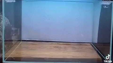 Hướng dẫn cách dán tranh 3d đơn giản - hiệu quả - dể dàng