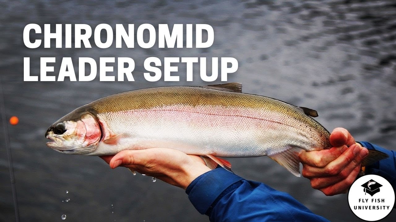 Chironomid Leader Setup (in 3 minutes) 