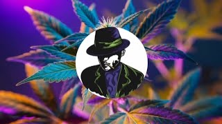 Canna Brothers Podcast I Ep. 81 w/guest @hempdazefarms2021 