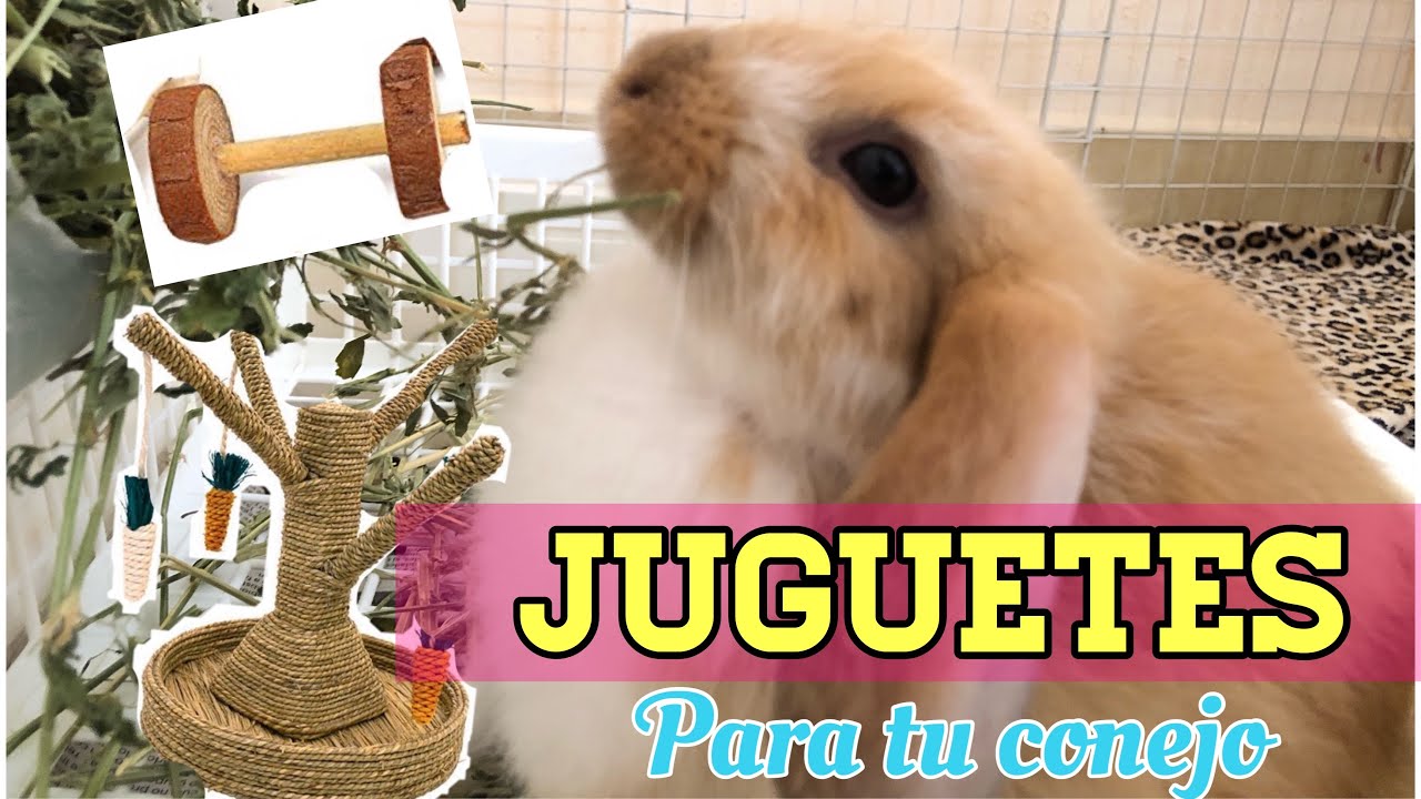 Juguetes Para Conejos