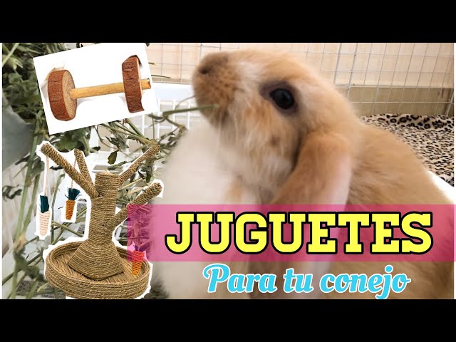 Cómo Hacer Juguetes Para Conejos En Casa - Ideas Sencillas Que Ellos  Amarán!