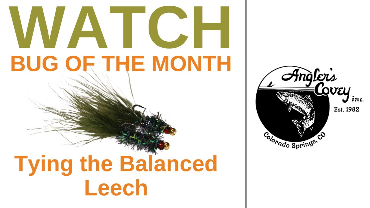 Fly Tying-The Basic Balanced Leech with Jon Easdon #flytying #flyfishing 