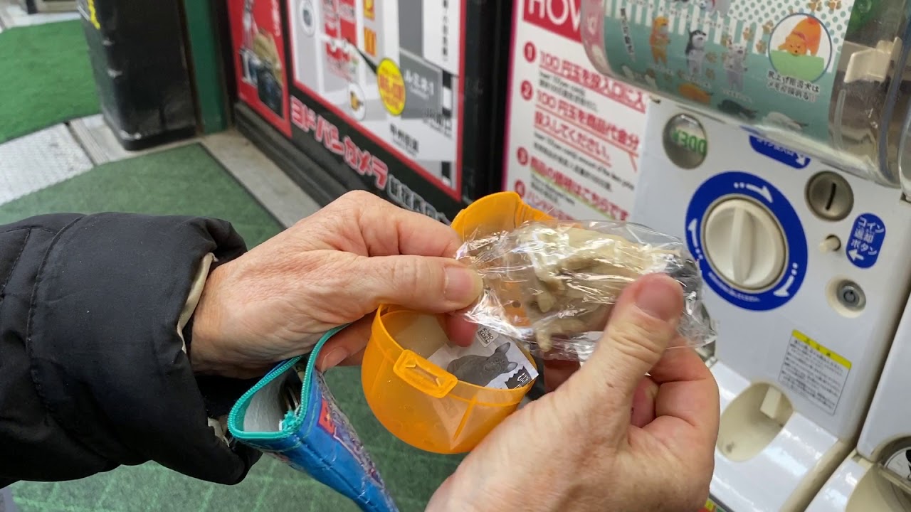 vending machine dispenses miniature dog souvenir in Tokyo YouTube