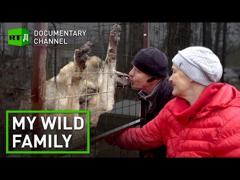 Wild animal rehab is a family business for a Russian couple | RT Documentary