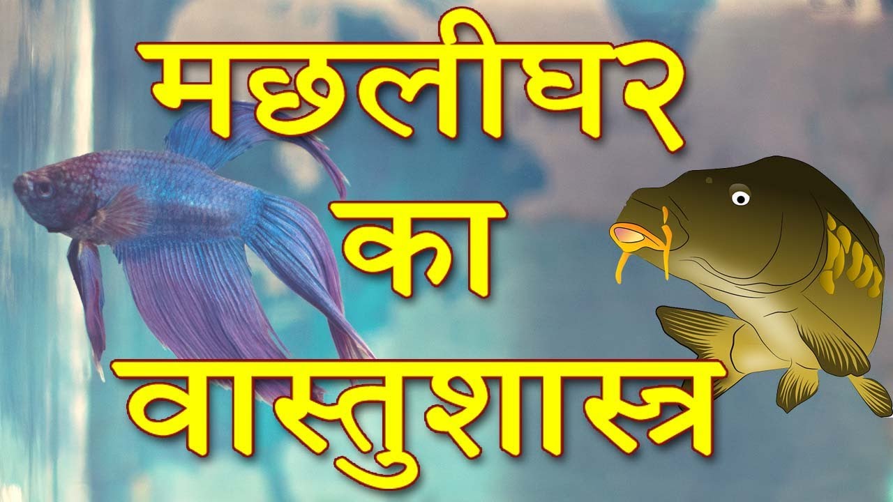Fish Aquarium according to Vastu l Vastu Shastra me machlighar l full