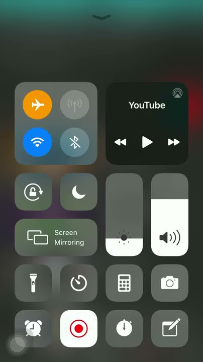 Movies That Trayce Scott Likes