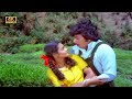 ரோஜாவை தாலாட்டும் தென்றல் பாடல் | Rojavai thalattum thendral song | Spb, Janaki Love song | Karthik.