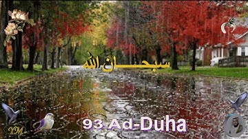 93  Ad Duha   سورة  الضحى  الشيخ مشاري راشد العفاسي