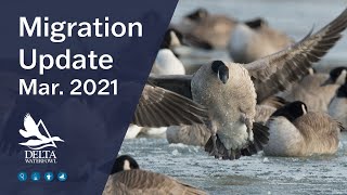 Details Migration Update, March 2021 Update