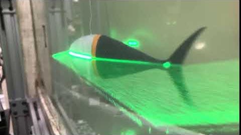 2019 Tuna robotics: A high-frequency experimental platform exploring the performance space of sw...4