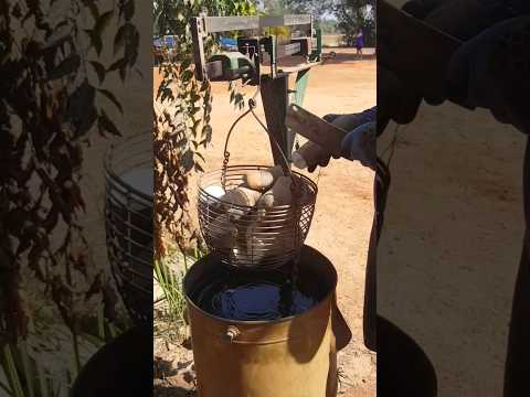 ผลสลากกินแบ่งรัฐบาล วันที่ 1 พย. 2567