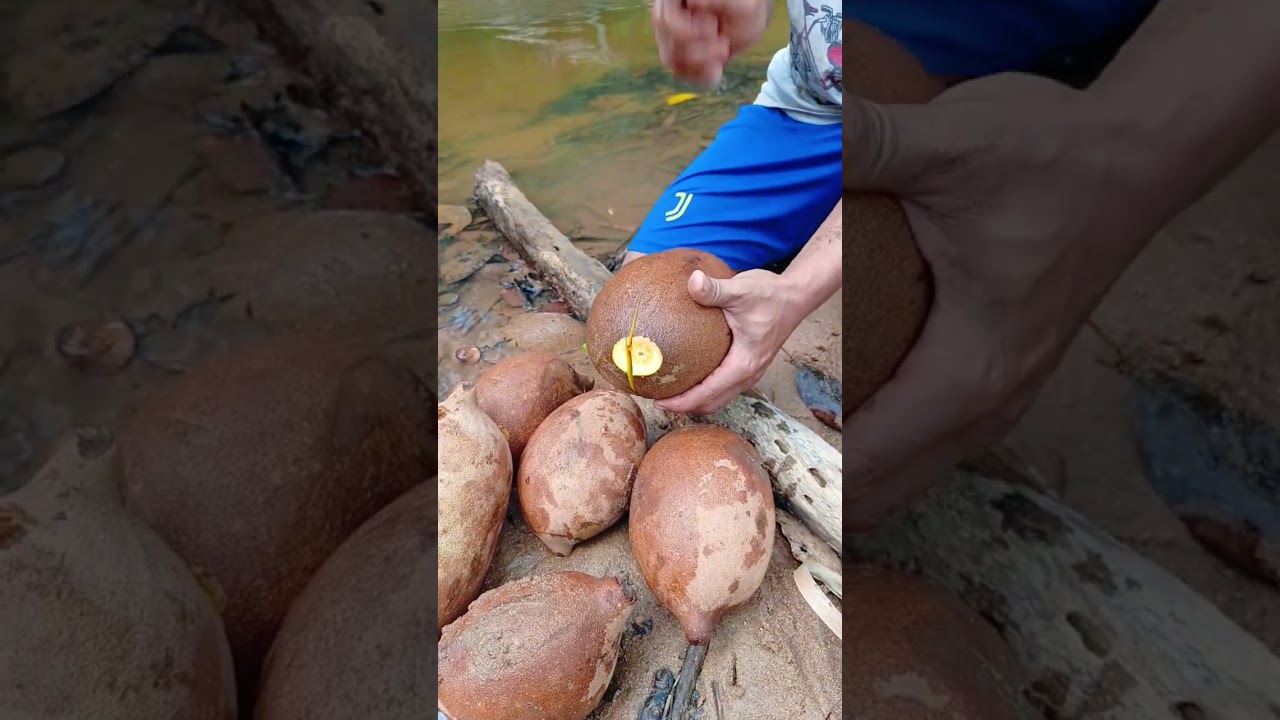 keluwak fruit 🍊😱😍 