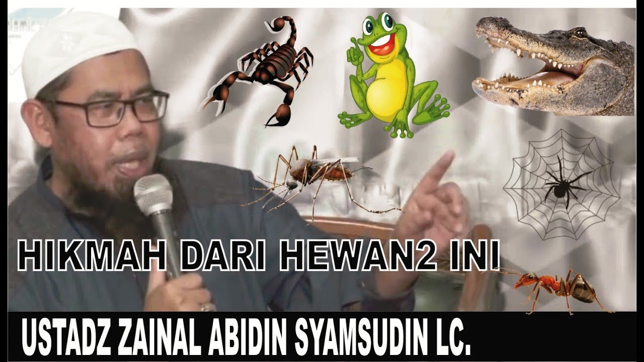 LUCU MENGGEMASKAN Ust Zainal Abidin Cerita Tentang Hikmah Hewan