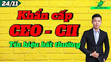 🔴Video đặc biệt | Khẩn cấp CEO - CII tín hiệu bất thường - Hành động gấp