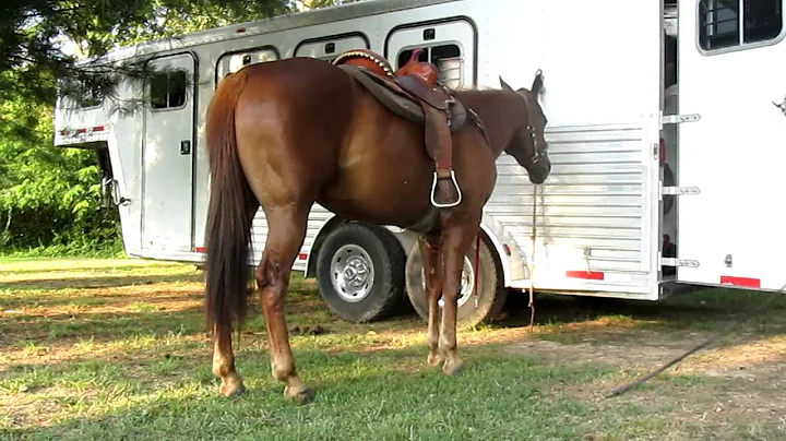 Miranda Hartman and Cha Cha-Getting in the saddle-...