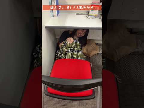 【ZIP-FM】混んでいる(？)場所から#Shorts【SWEET VOX】