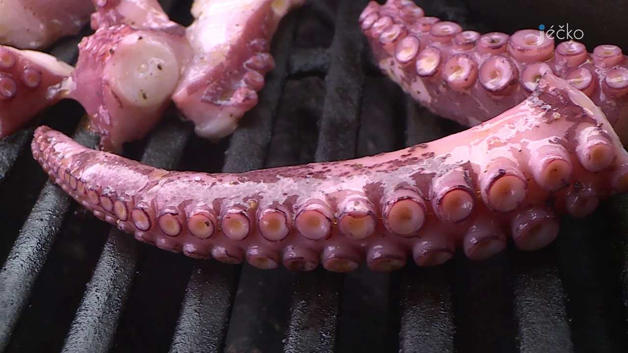 Mořské plody - chobotnice