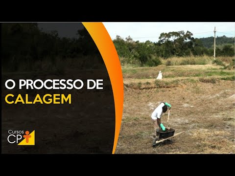 Clique e veja o vídeo Como preparar os tanques de engorda para receber tilápias