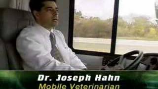 Career Profiles:  Small Animal Practice