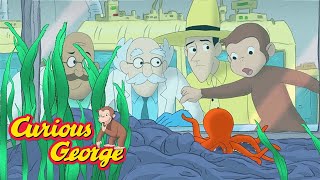 curious george george solves the mystery kids cartoon kids movies videos for kids