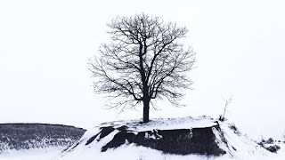 Muhtelif Karakter - Gelmedin