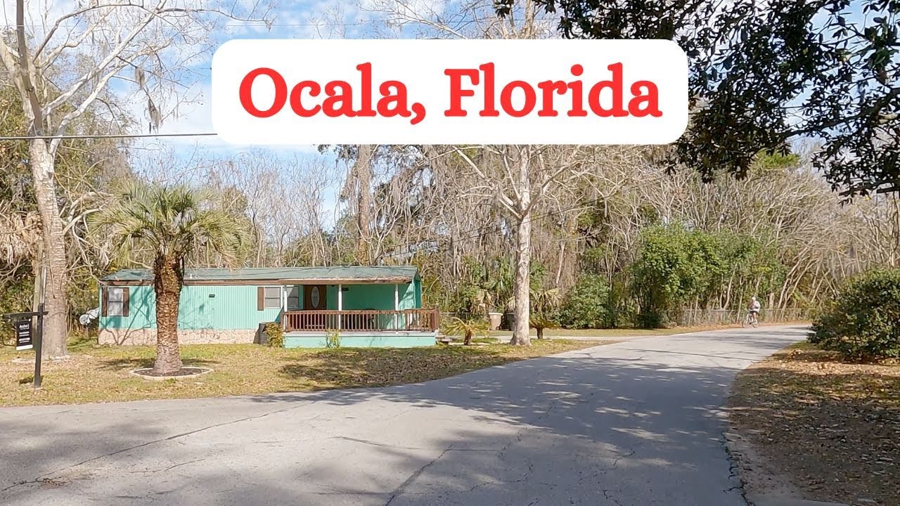 Driving in Ocala, Florida. February 7, 2025 #aroundocala #ocala #smalltown