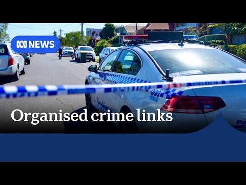 Police allege killing of Bankstown woman linked to organised crime | ABC NEWS Episode cover