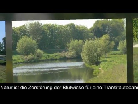 Naturschutzgebiet "die BLUTWIESE"