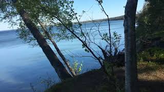 Juminda Poolsaar, Eesti Suvi 2020