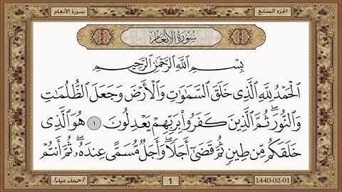 سورة الانعام للشيخ حسن صالح