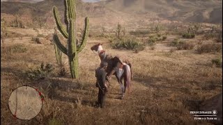 Red Dead Redemption 2 Man Gets Eaten By Cougar