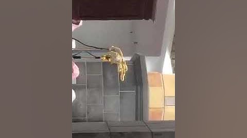 (ماتيسر من سورة البقرة)    تلاوة فضيلة الشيخ د. ماهر بن حمد المعيقلي من صلاة التراويح 2 رمضان 1439هـ