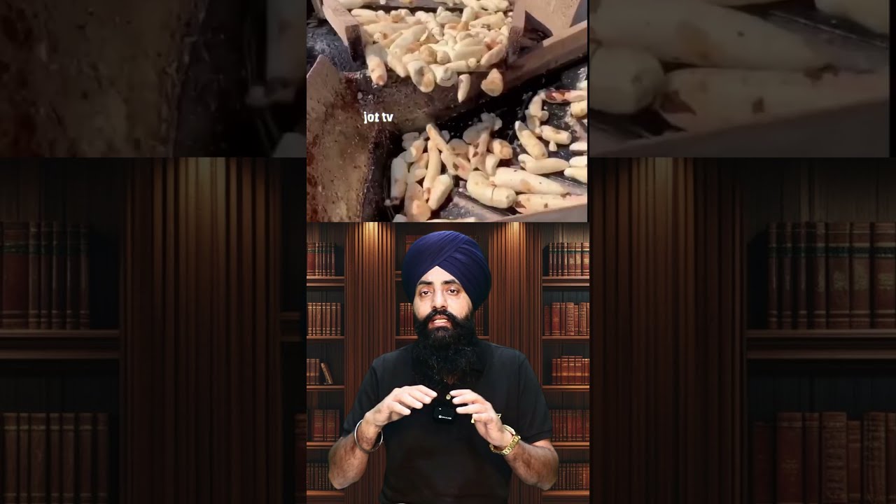  The Making Of Sago A Step By Guide SagoMaking Sabudana FoodProduction