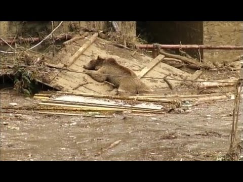 ხუთშაბათს, 18 ივნისს, 22:00 საათზე, \"რეალური სივრცე\"