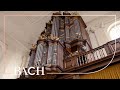 Bach - Allein Gott in der Höh sei Ehr BWV 662 - Smits | Netherlands Bach Society