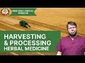Harvesting  processing herbs with doc jones  educational livestream