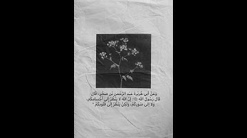 من سورة النمل [وَإِنَّ رَبَّكَ لَيَعْلَمُ مَا تُكِنُّ صُدُورُهُمْ وَمَا يُعْلِنُونَ] 75 - إسلام صبحي