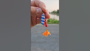 Can This $1 Spinner Actually Catch Fish?!