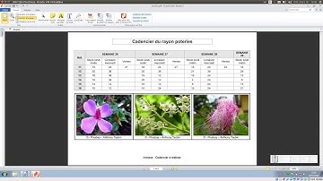 Tuto vidéo : Construire un tableau avec LibreOffice Writer