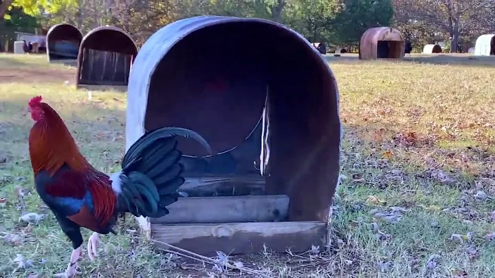 Gilliam Game Farm, la granja del Maestro Gary Gill...